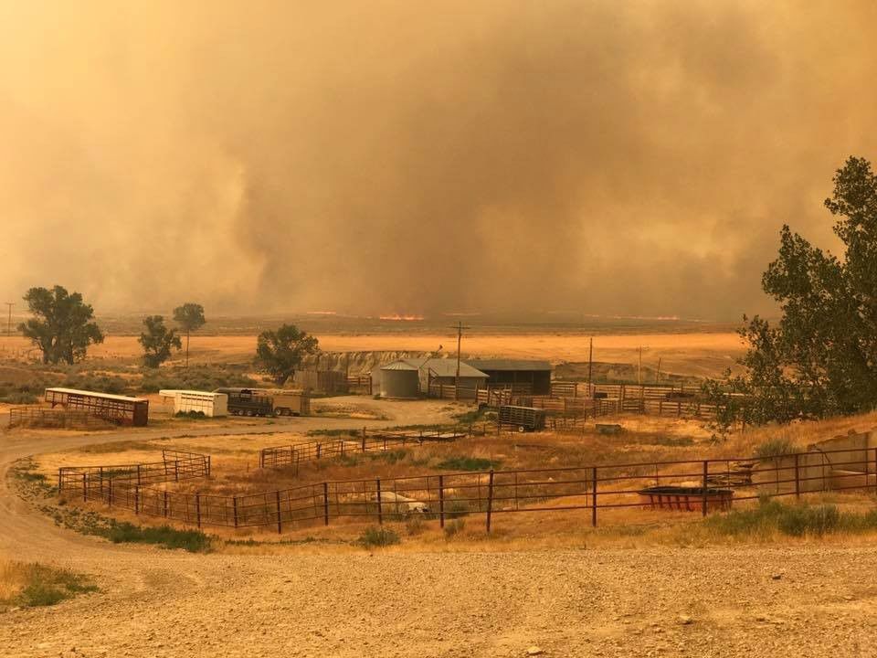 Brown Fire